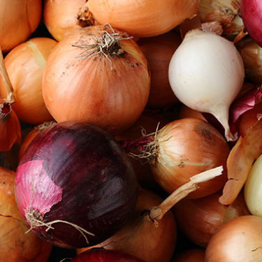 Onion Recall Expanded After 800 Sickened With Salmonella